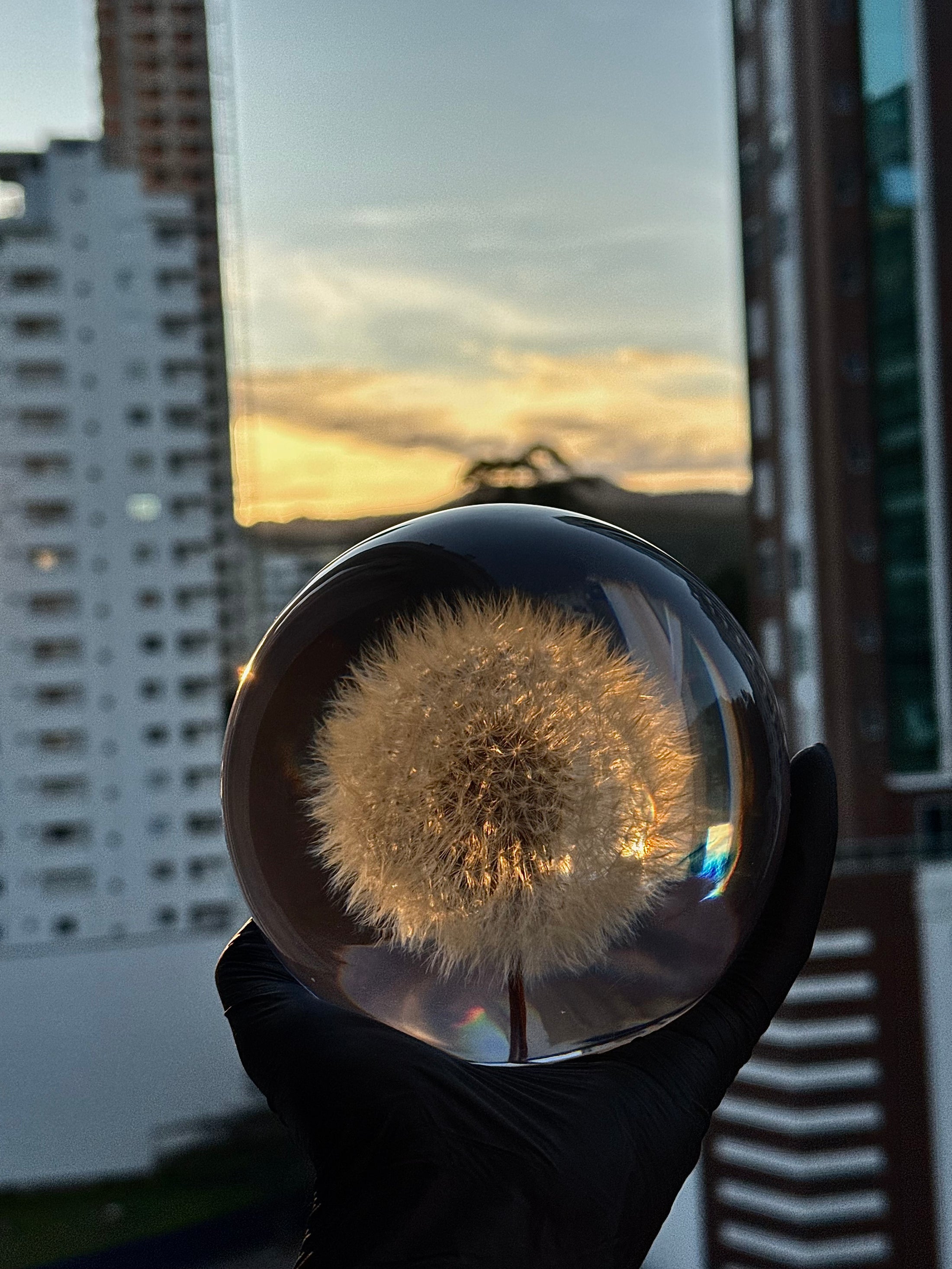 Dandelion Sphere Lamp L 10cm