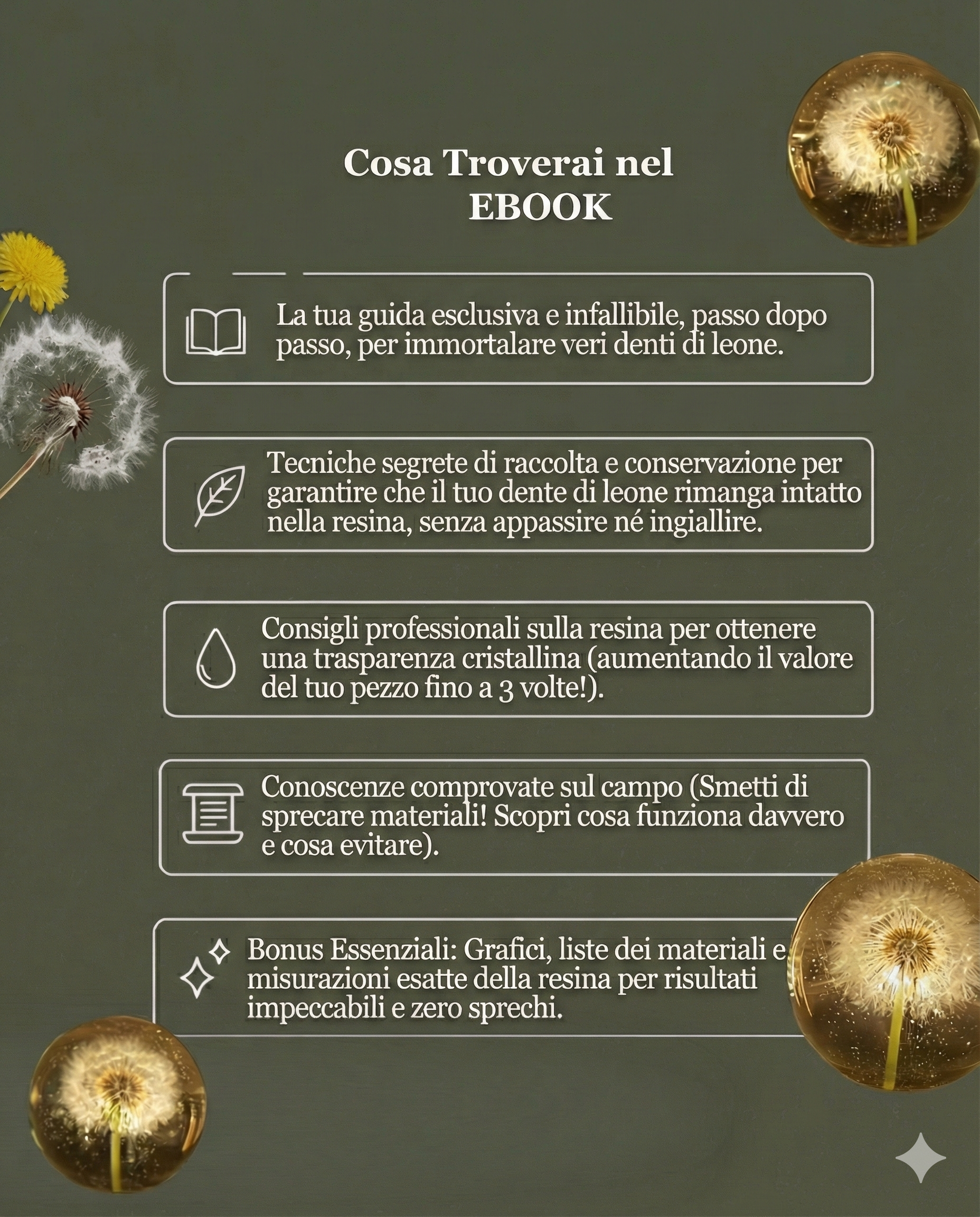 ITALIANO Ebook Preservare il Soffione – Impara a renderlo eterno