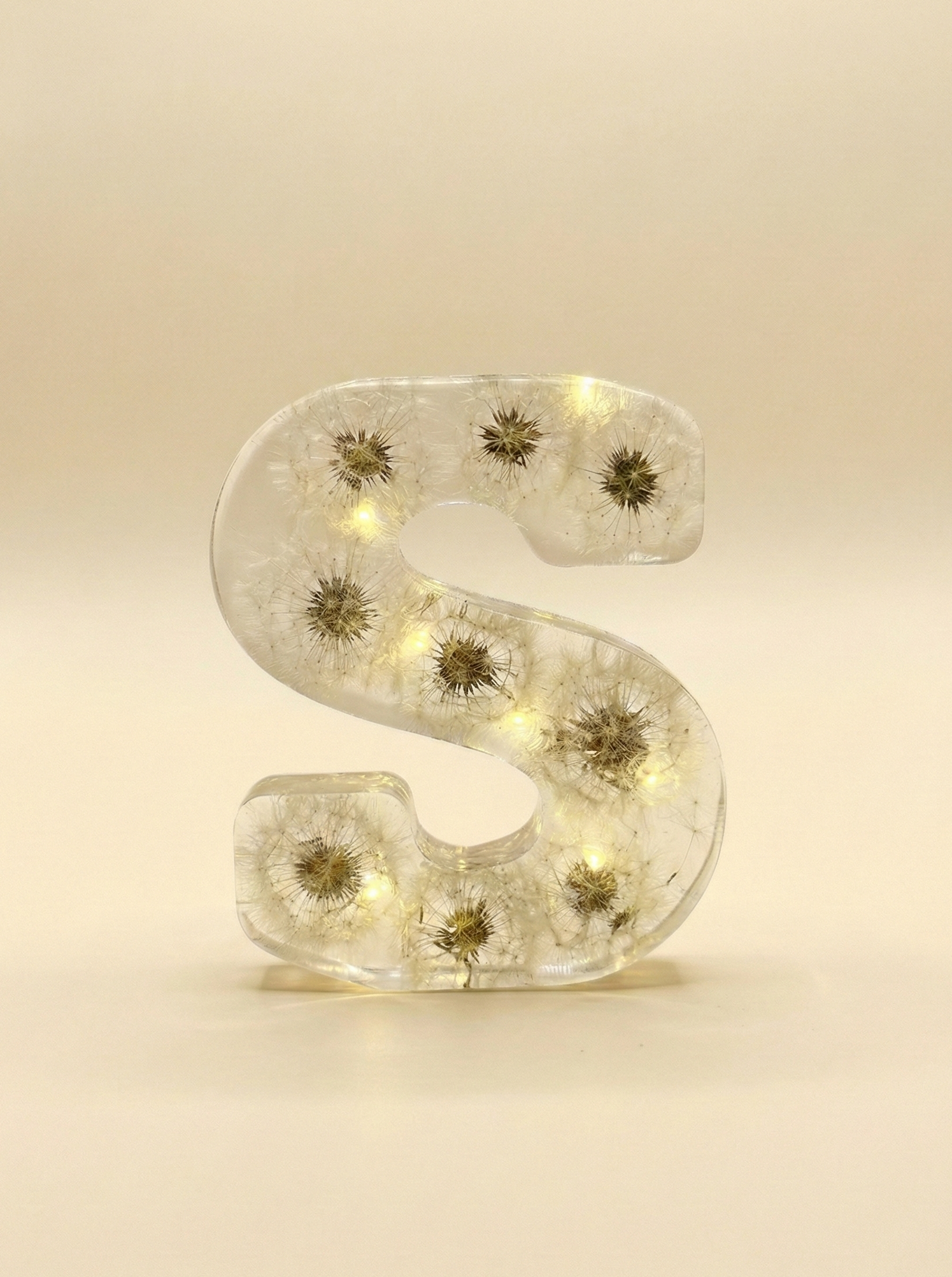 Initial with Dandelions & Fairy Lights - 10 cm