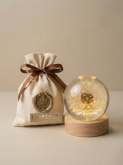 Dandelion Lamp Sphere - Choose your size