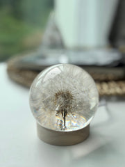 SALE M Dandelion Sphere  - Lateral Positioning