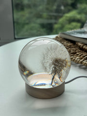 SALE M Dandelion Sphere  - Lateral Positioning