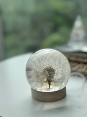 SALE M Dandelion Sphere  - Lateral Positioning