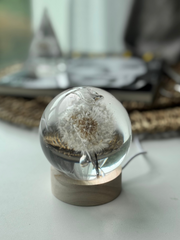SALE M Dandelion Sphere - Two Internal Bubbles