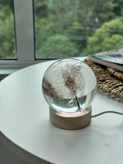 SALE M Dandelion Sphere - Two Internal Bubbles