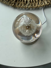 SALE M Dandelion Sphere - Two Internal Bubbles