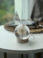 SALE M Dandelion Sphere - Two Internal Bubbles