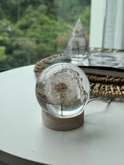 SALE M Dandelion Sphere - Effervescent Bubbles