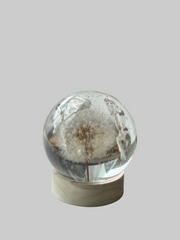 SALE M Dandelion Sphere - Effervescent Bubbles