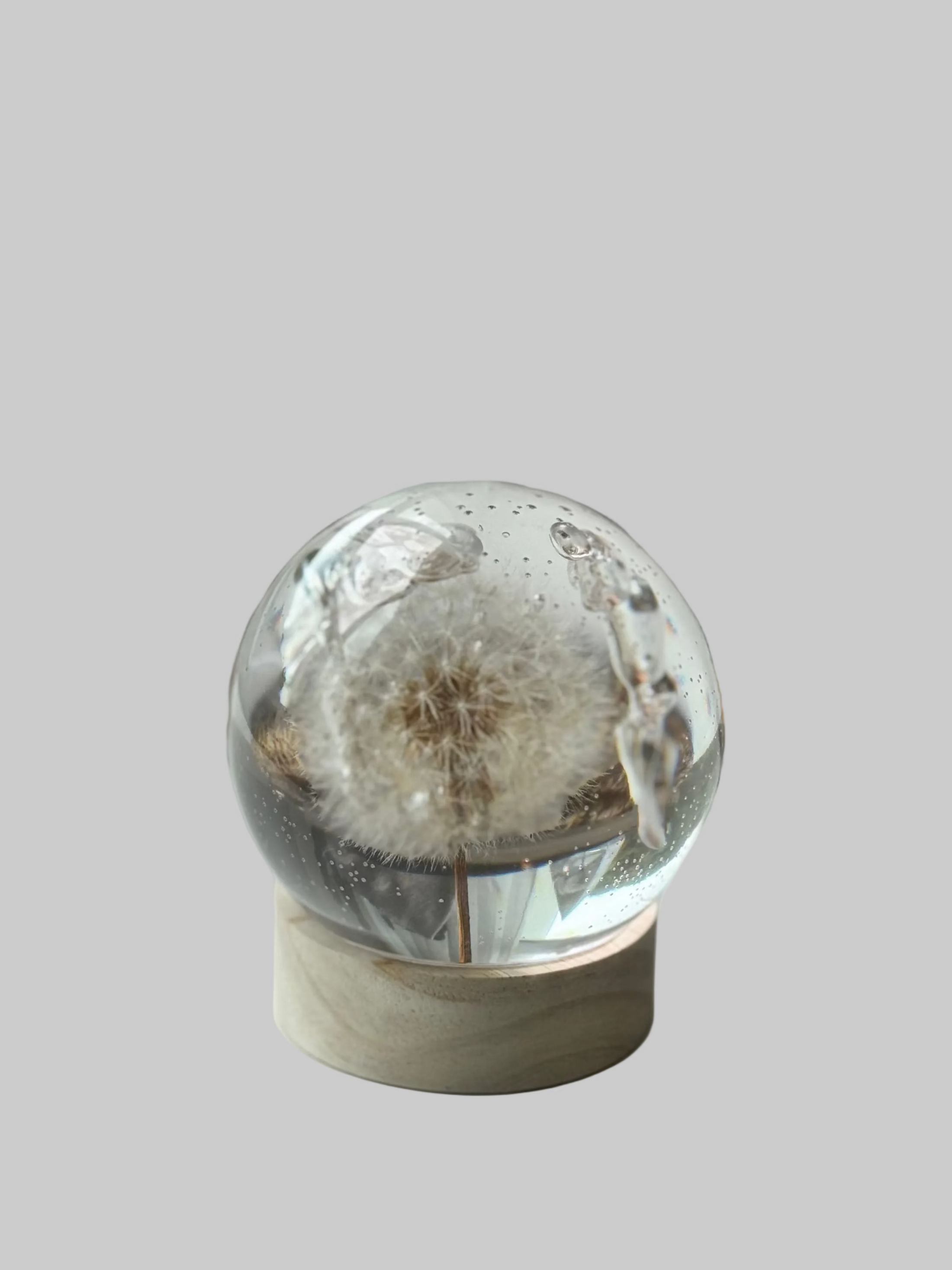 SALE M Dandelion Sphere - Effervescent Bubbles