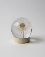 SALE M Dandelion Sphere M - Lateral Positioning II
