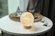SALE L size Dandelion Abstract Texture Sphere