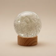 SALE L size Dandelion Abstract Texture Sphere
