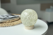 SALE L size Dandelion Abstract Texture Sphere