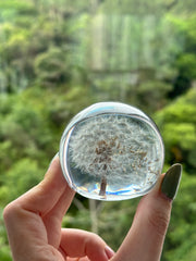 AO VENTO — Dandelion Sphere