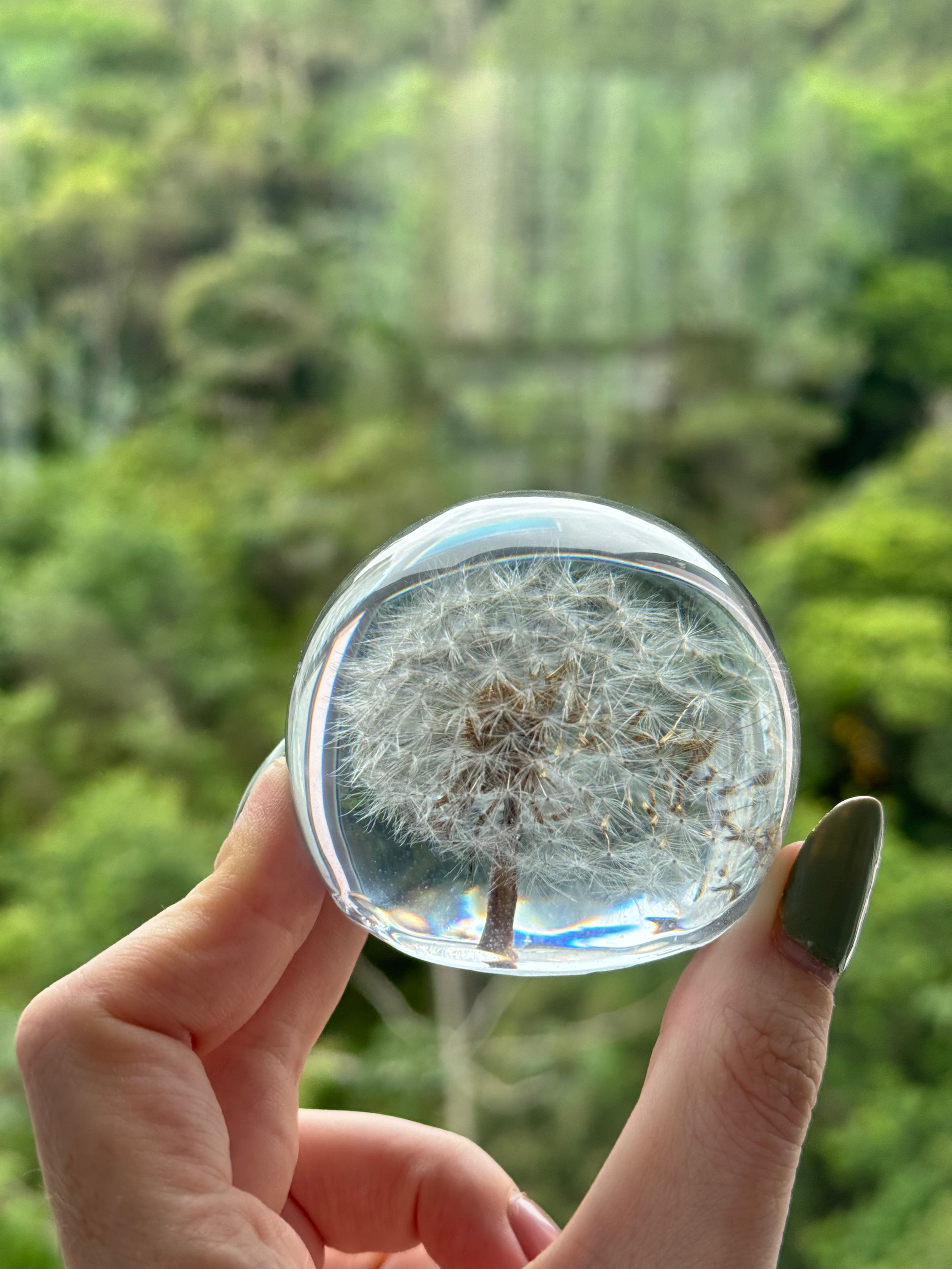 AO VENTO — Dandelion Sphere