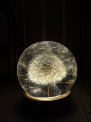 AO VENTO — Dandelion Sphere