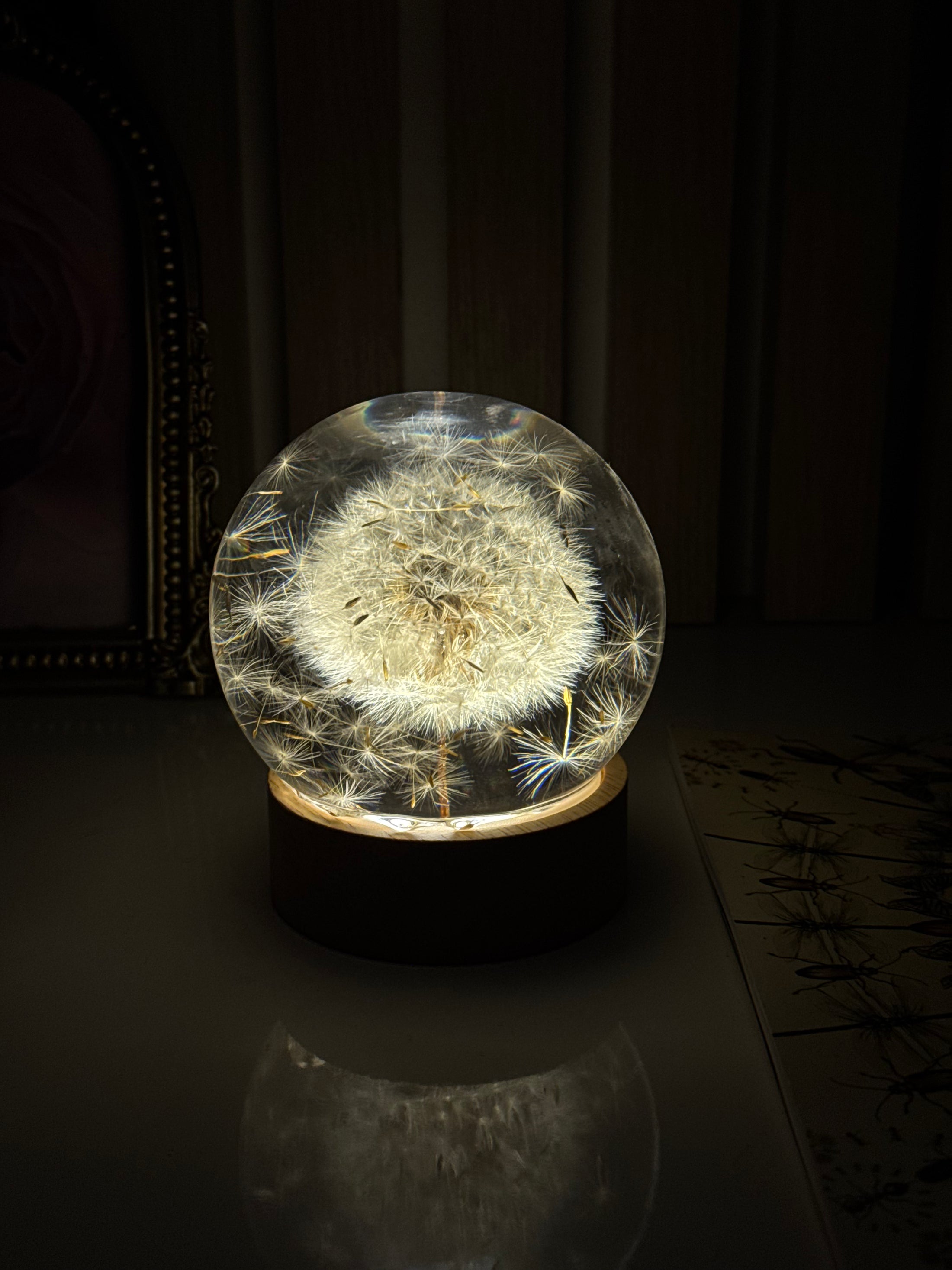 AO VENTO — Dandelion Sphere