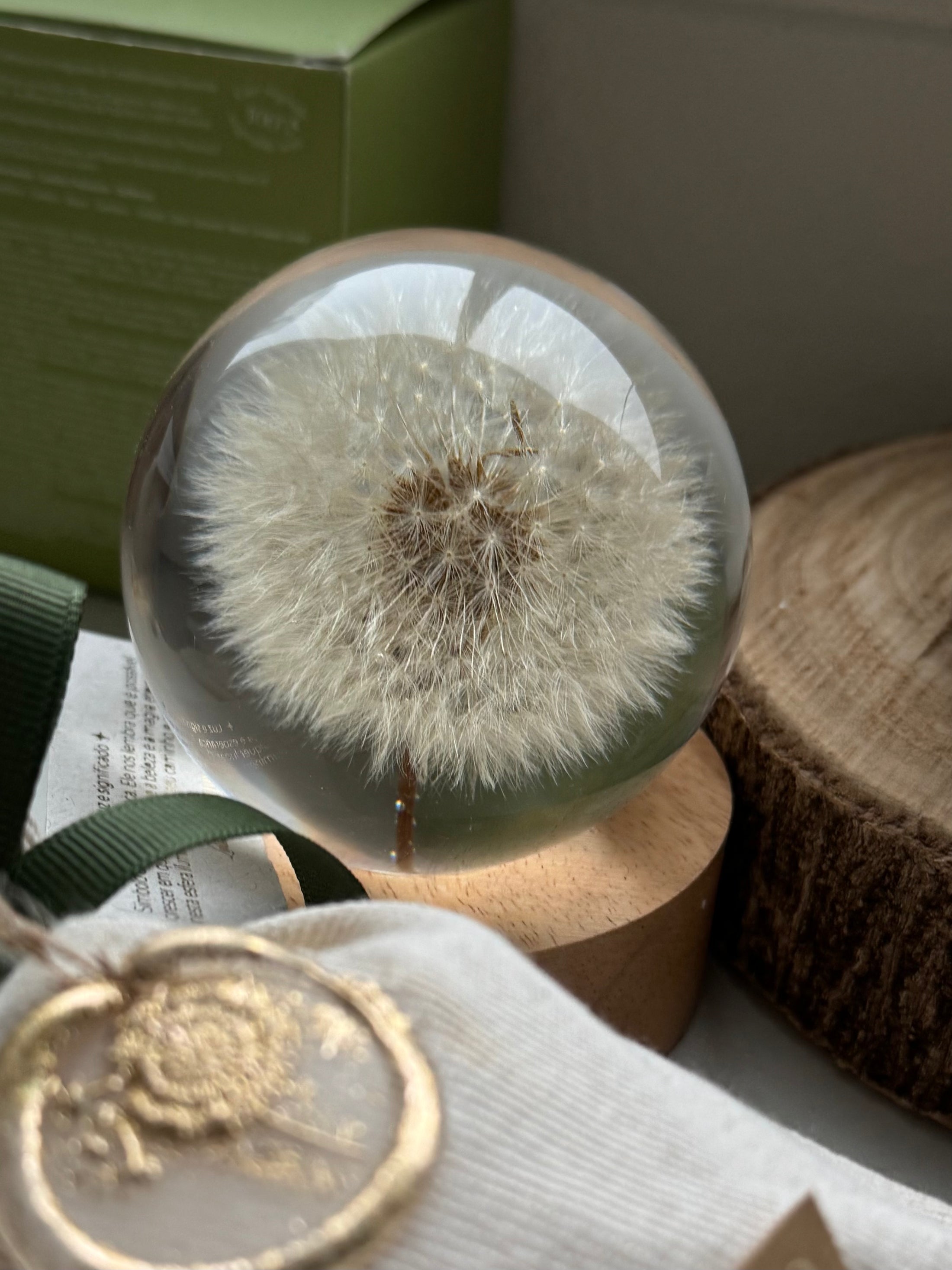 Unique real dandelion inside a resin sphere