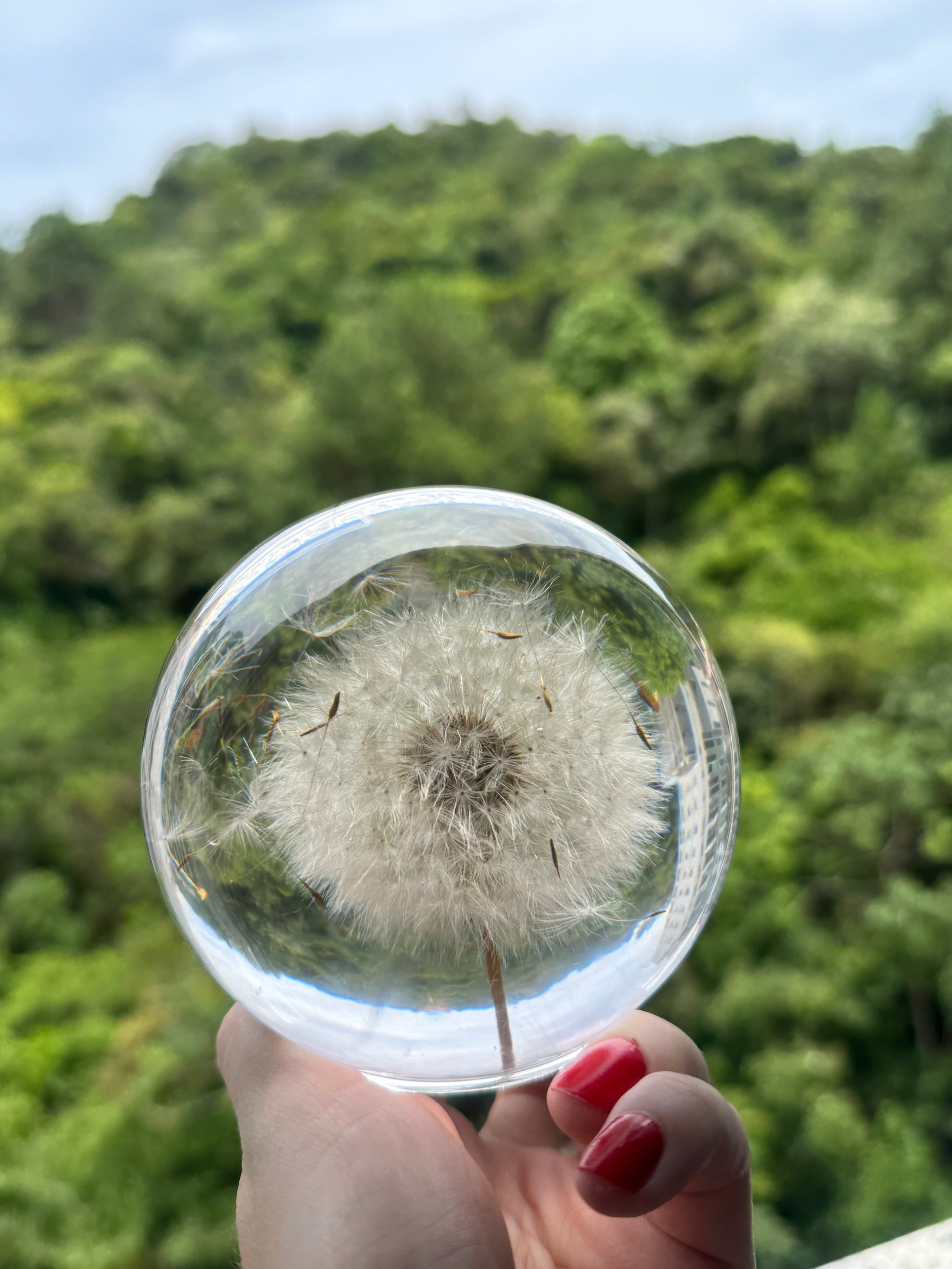 AO VENTO — Dandelion Sphere