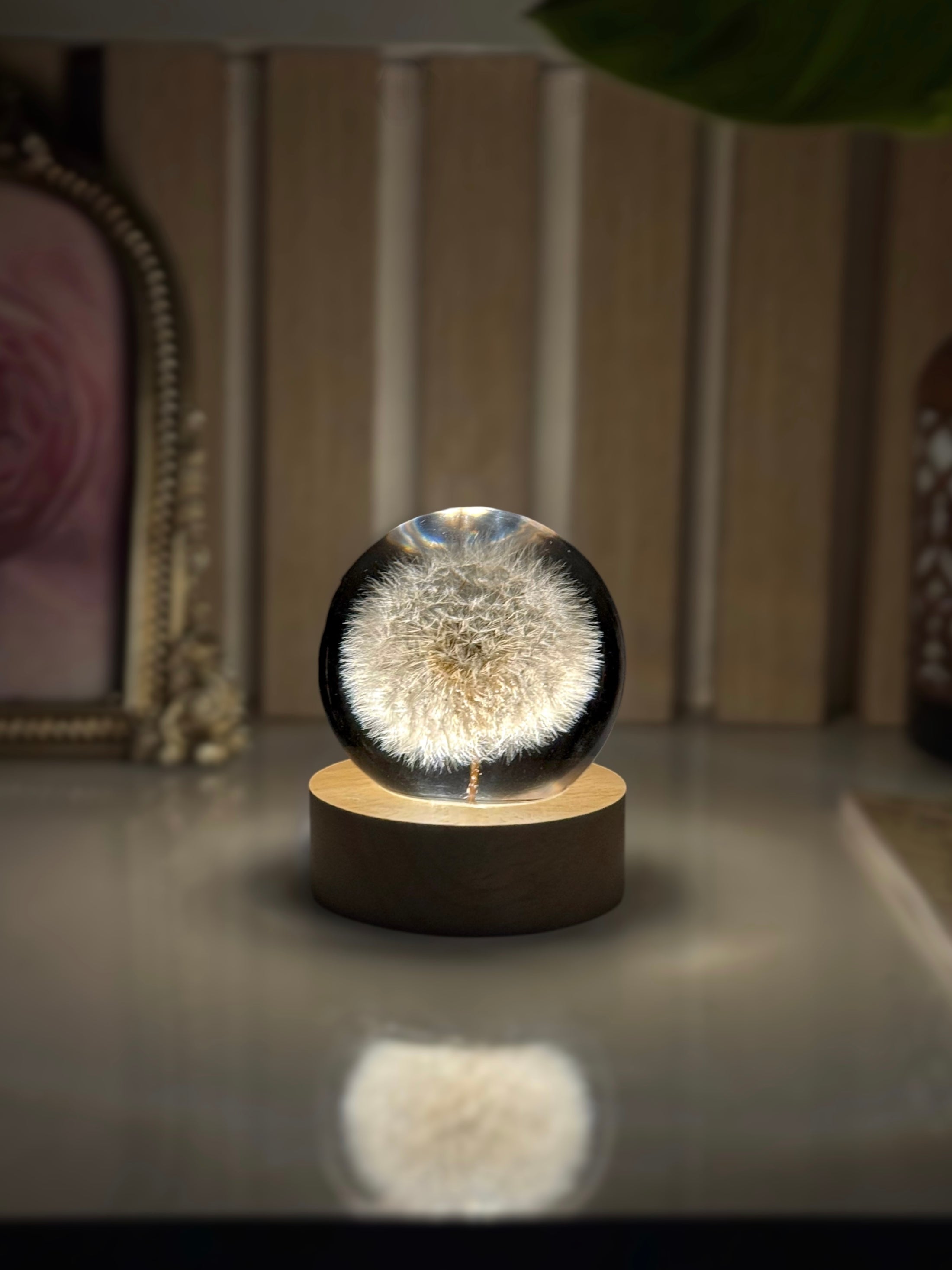 Dandelion sphere in natural daylight
