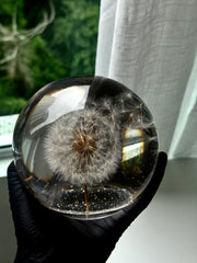 AO VENTO — Dandelion Sphere