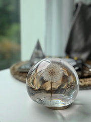 SALE XLarge Dandelion Sphere - Surface Finish