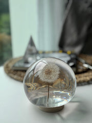 SALE XLarge Dandelion Sphere - Surface Finish