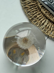 SALE XLarge Dandelion Sphere - Surface Finish