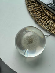 [OUTLET] Dandelion Sphere (Size L) - Imperfection: Dreamy Mist Effect