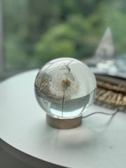 [OUTLET] Dandelion Sphere (Size L) - Imperfection: Dreamy Mist Effect