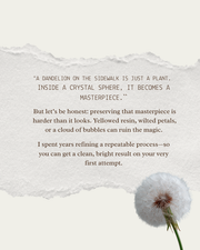 ENGLISH Course Preserving the Dandelion - Learn how to make it ethernal